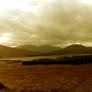 The Glen