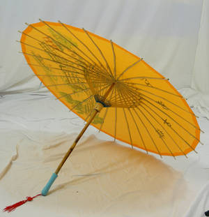 Chinese Umbrella