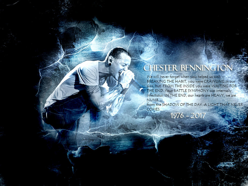 Chester by VibrantImaging on DeviantArt