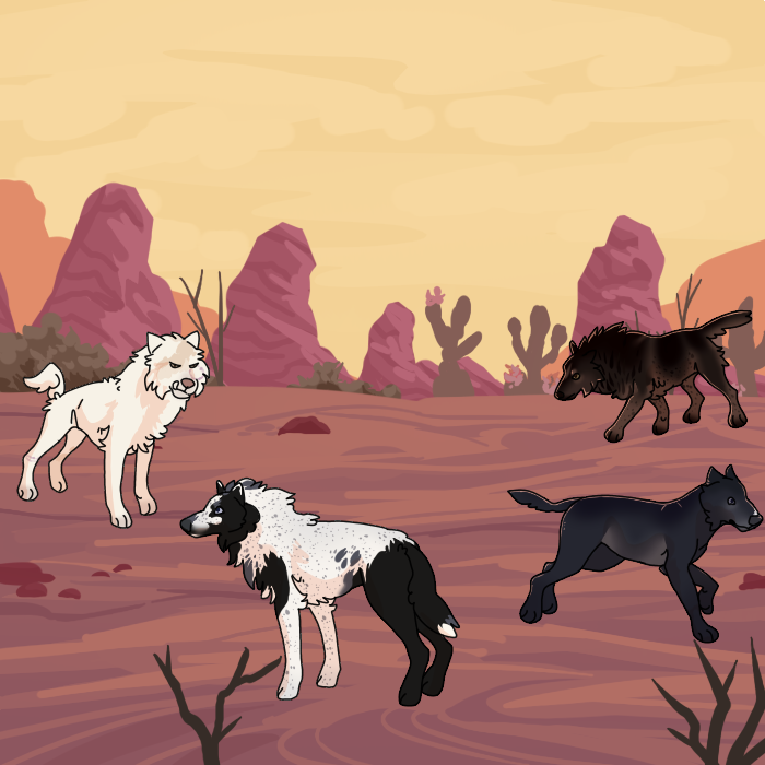 Desert Runs