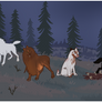 Woodland Night