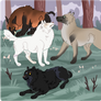 Forest Frolic 2/3