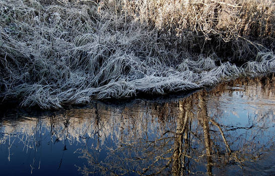 river with reflection