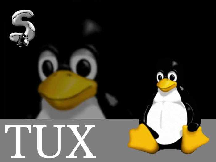 Tux artwork by RoxasXIIIkeys on DeviantArt