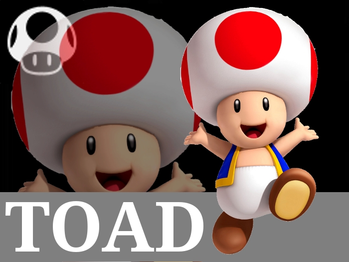 Toad artwork