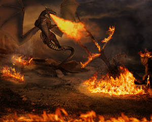 Red Dragon by Vania-Paiva Red Dragon by Vania-Paiva