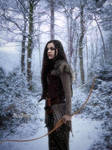 Winter Hunt by Vania-Paiva