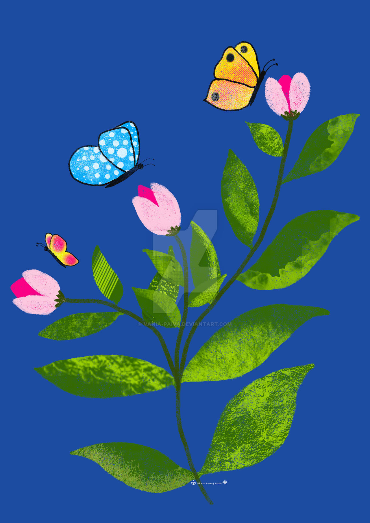 Flowers and Butterflies by Vania-Paiva on DeviantArt