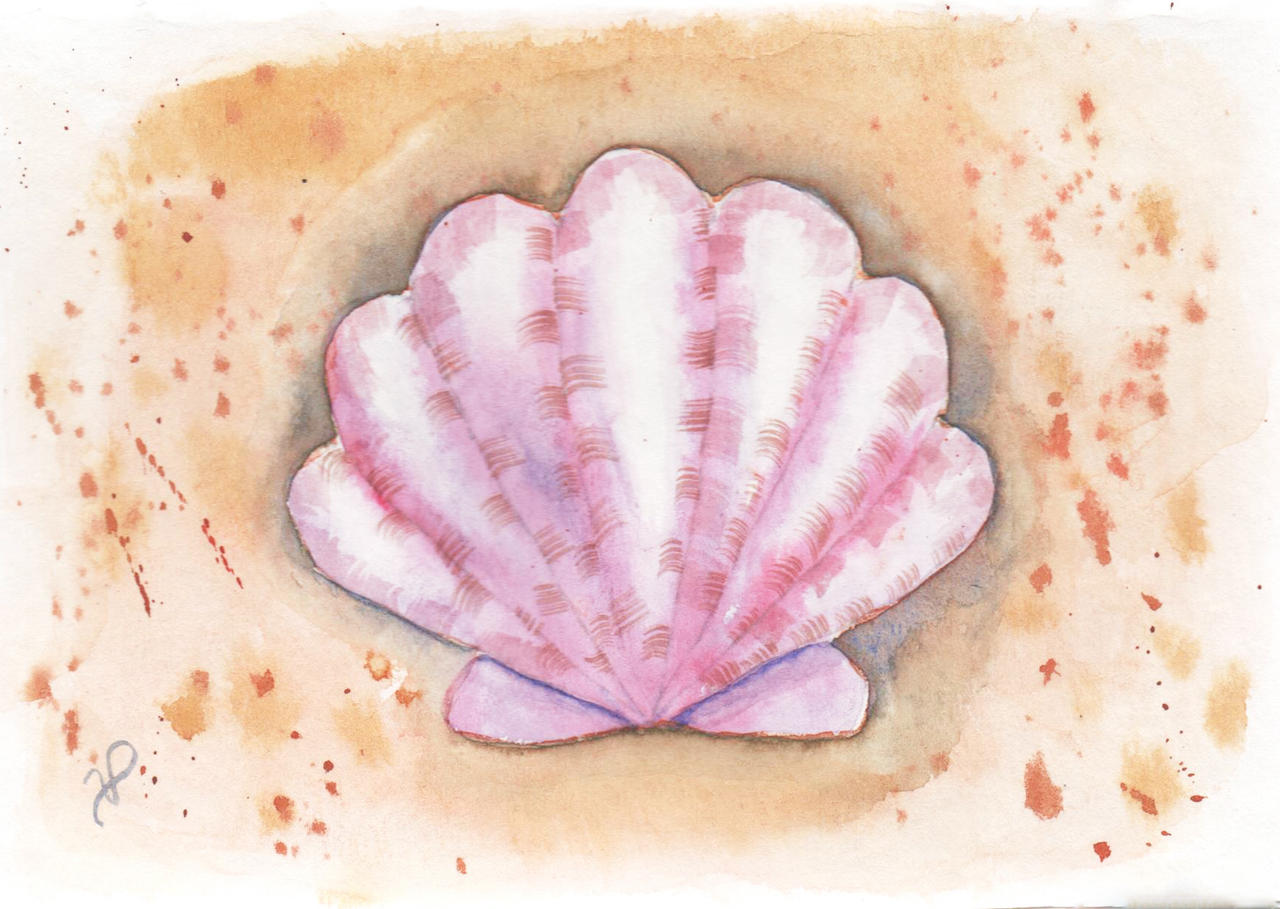 Shell 1 by Vania-Paiva on DeviantArt