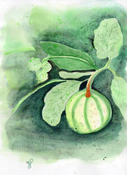 Watermelon 3