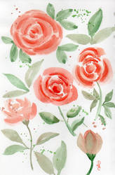 Loose Roses - Study