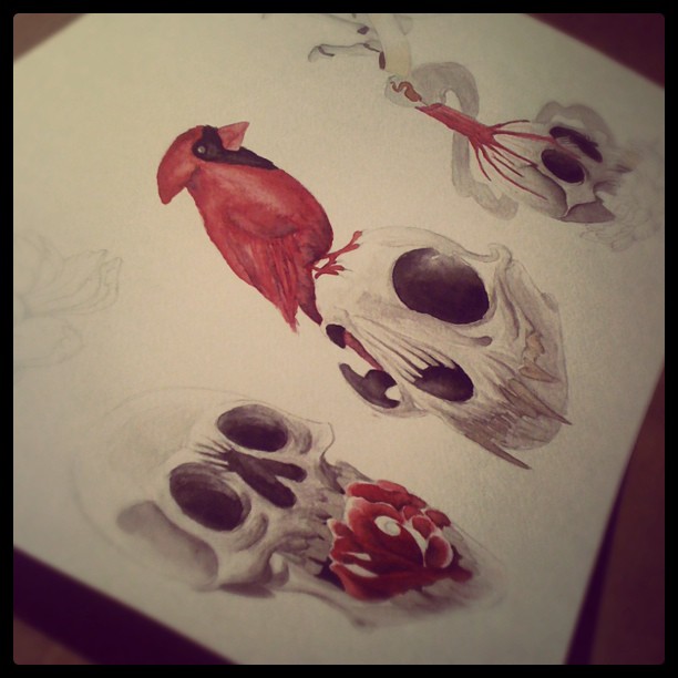 Flash sheet Progressss...