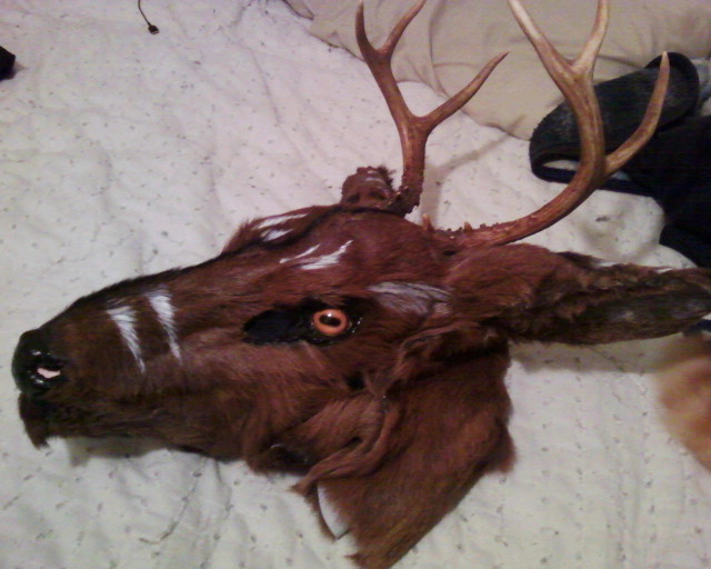 Western Stag Mask