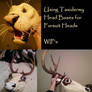 Taxidermy Mask Bases