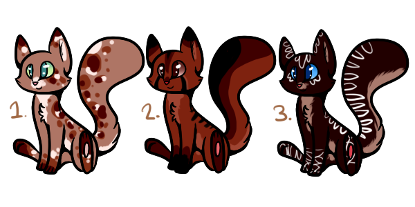 Kitty Adoptables