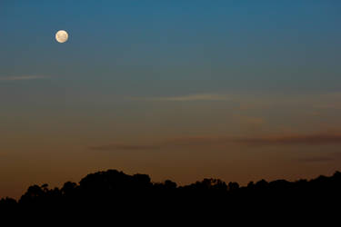 A full moon in summer