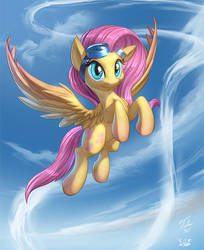 Fluttershy's Skies