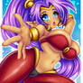 Shantae - V1