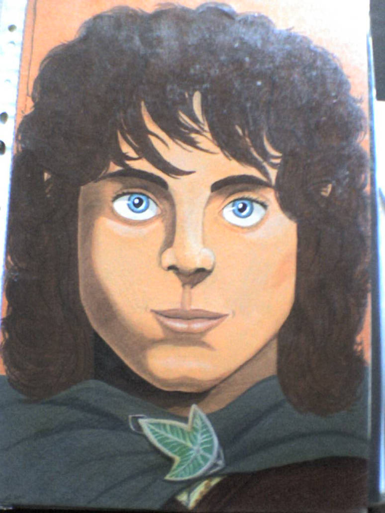 Frodo portrait-acrylics. by SkekLa on DeviantArt