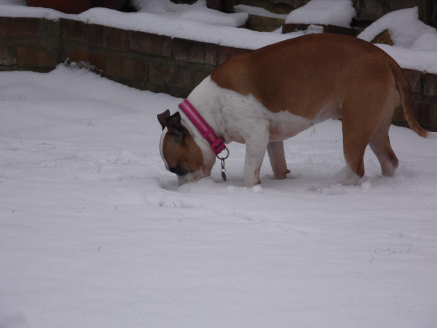 bell in the snow 2