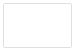 Extra Large Blank Stamp