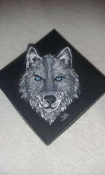 wolf box