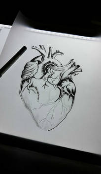 heart