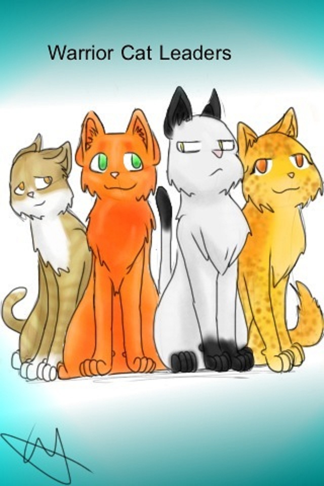 Top 20 fav Warrior cats and why! by MagnoliaTheWolf369 on DeviantArt