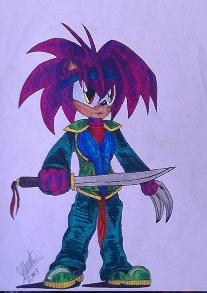 Sonic Assassin by Jigsaw0097 on DeviantArt