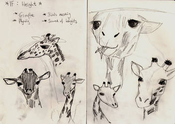 Sketching giraffes