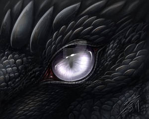 Dragon eye (+Timelapse Video)