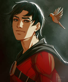 Tim Drake
