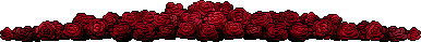 Red Roses Divider