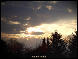 sunny home