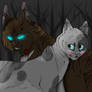 Ivypool x Hawkfrost