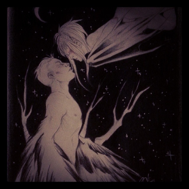 crow and bat