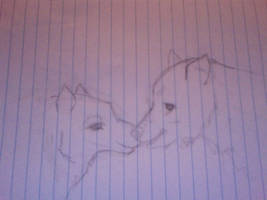 My wolf drawing