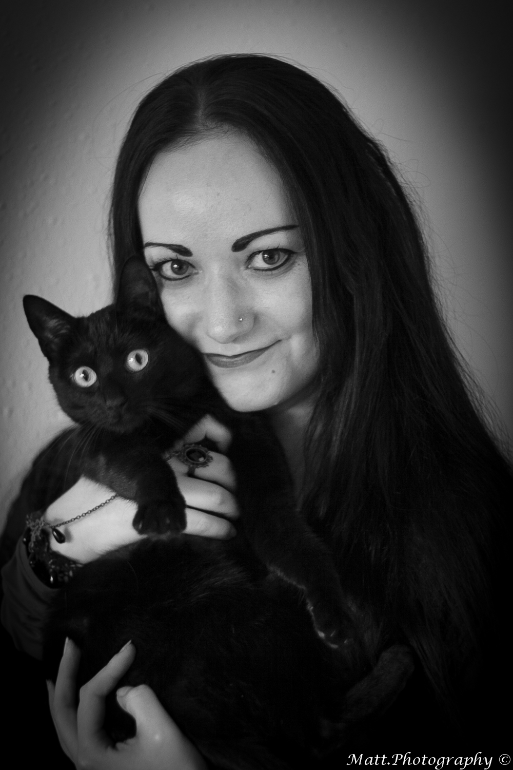 black and white cat portrait stock