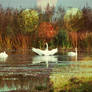 Swan's Lake