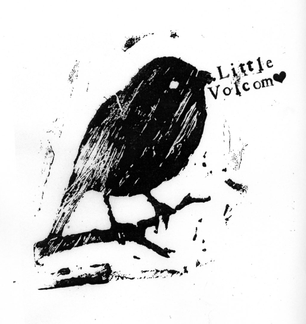 lino little volcom bird