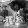 Kitty Chess III