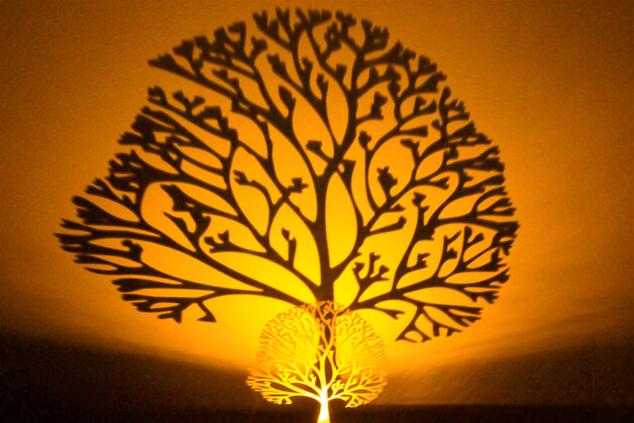 Shadow Form Tree Shadow Tree by GlassHouse-1 on DeviantArt