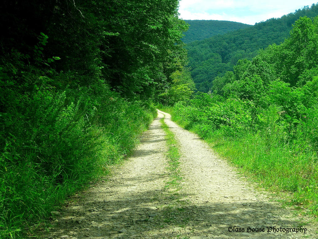 Beside Creek by GlassHouse-1