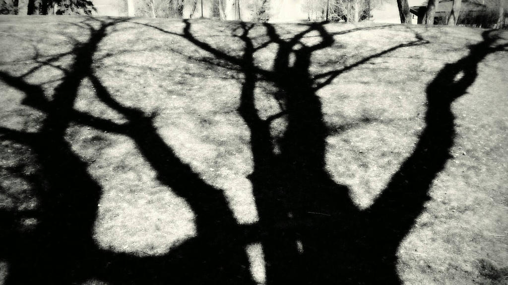 Shadow Form Tree Three Shadow Tree by YourNameHauntsMe on DeviantArt