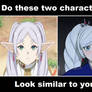 Do Frieren and Weiss Schnee look similar to you?