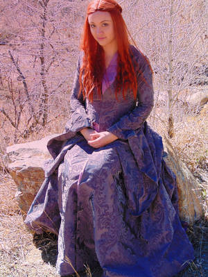 Lady Sansa of House Stark