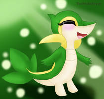 Steph (Snivy)