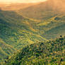 Black River National Park