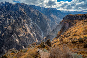 Colca Canyon