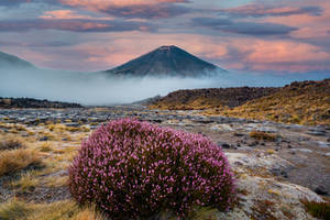 Tongariro National Park